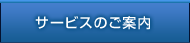 �T�[�r�X�̂��ē�