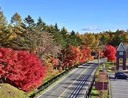 写真：草津周辺観光地イメージ